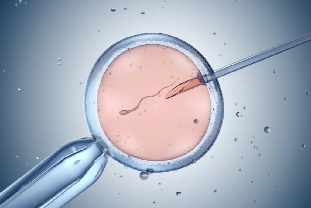عبور از خط قرمز اخلاق در ژنتیک؛ محققان آمریکایی DNA رویان انسان را ویرایش کردند