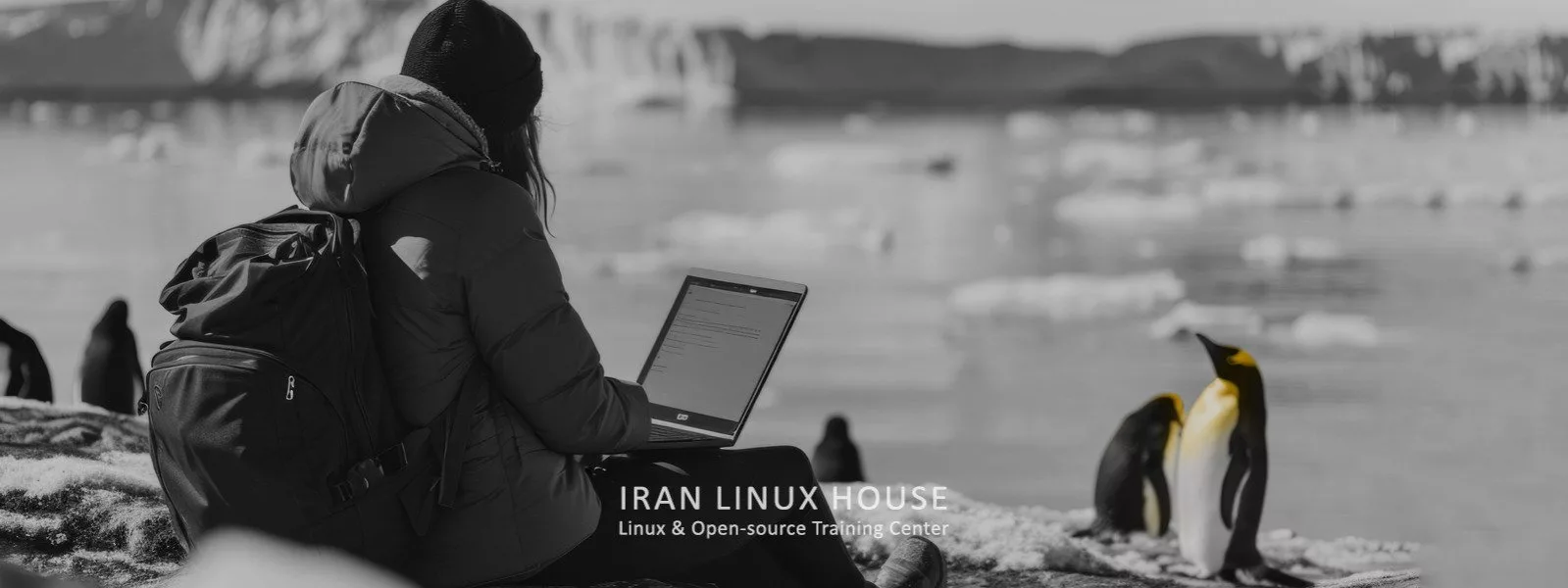 آیا هوش مصنوعی جای شغل شما را می‌گیرد؟ یا یادگیری لینوکس (Linux) شما را از بقیه متمایز می‌کند؟