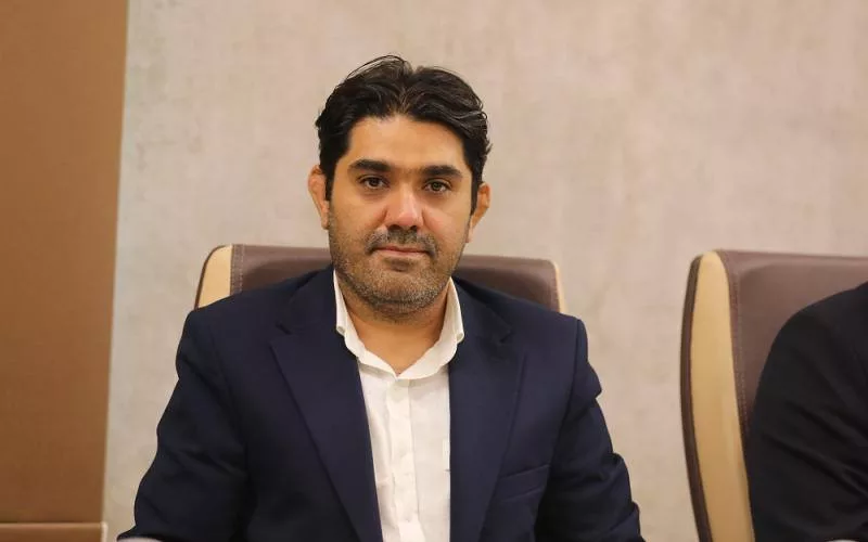 رضا الفت‌نسب، رئیس اتحادیه کشوری کسب‌وکارهای مجازی
