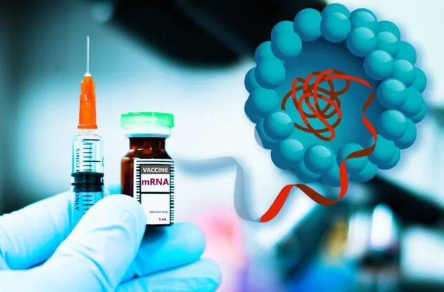 روش جدیدی برای افزایش کارایی داروهای mRNA