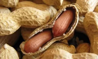 تأثیر خوردن کپسول مدفوع افراد سالم بر آلرژی به بادم زمینی