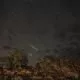 بارش شهابی برساوشی