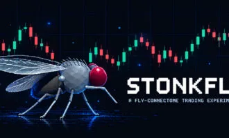 پروژه مگس معامله‌گر Stonkfly