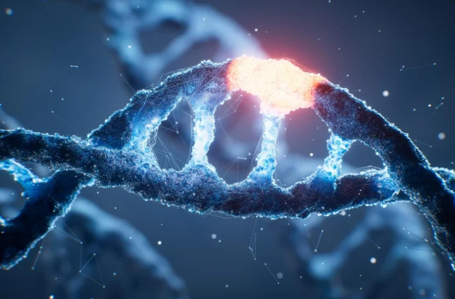 نتایج آزمایش روی موش‌ها: مصرف غذای کمتر می‌تواند جهش‌های DNA را کاهش دهد