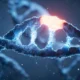 نتایج آزمایش روی موش‌ها: مصرف ۳۰ درصد غذای کمتر می‌تواند جهش‌های DNA را کاهش دهد