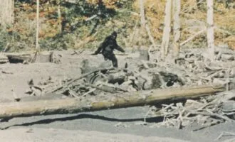 پاگنده