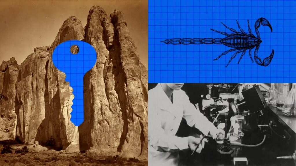 کمک به طراحی پادزهر با Claude
