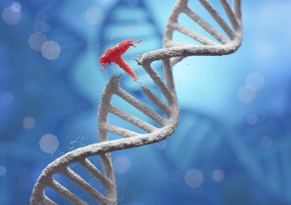 دستاورد جدید دانشمندان؛ ابزار اصلاح ژنتیک برای اولین‌بار DNA را داخل بدن ویرایش کرد