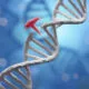 ویرایش DNA