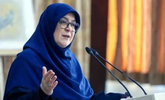 فاطمه مهاجرانی، سخنگوی دولت، درباره افزایش قیمت اینترنت